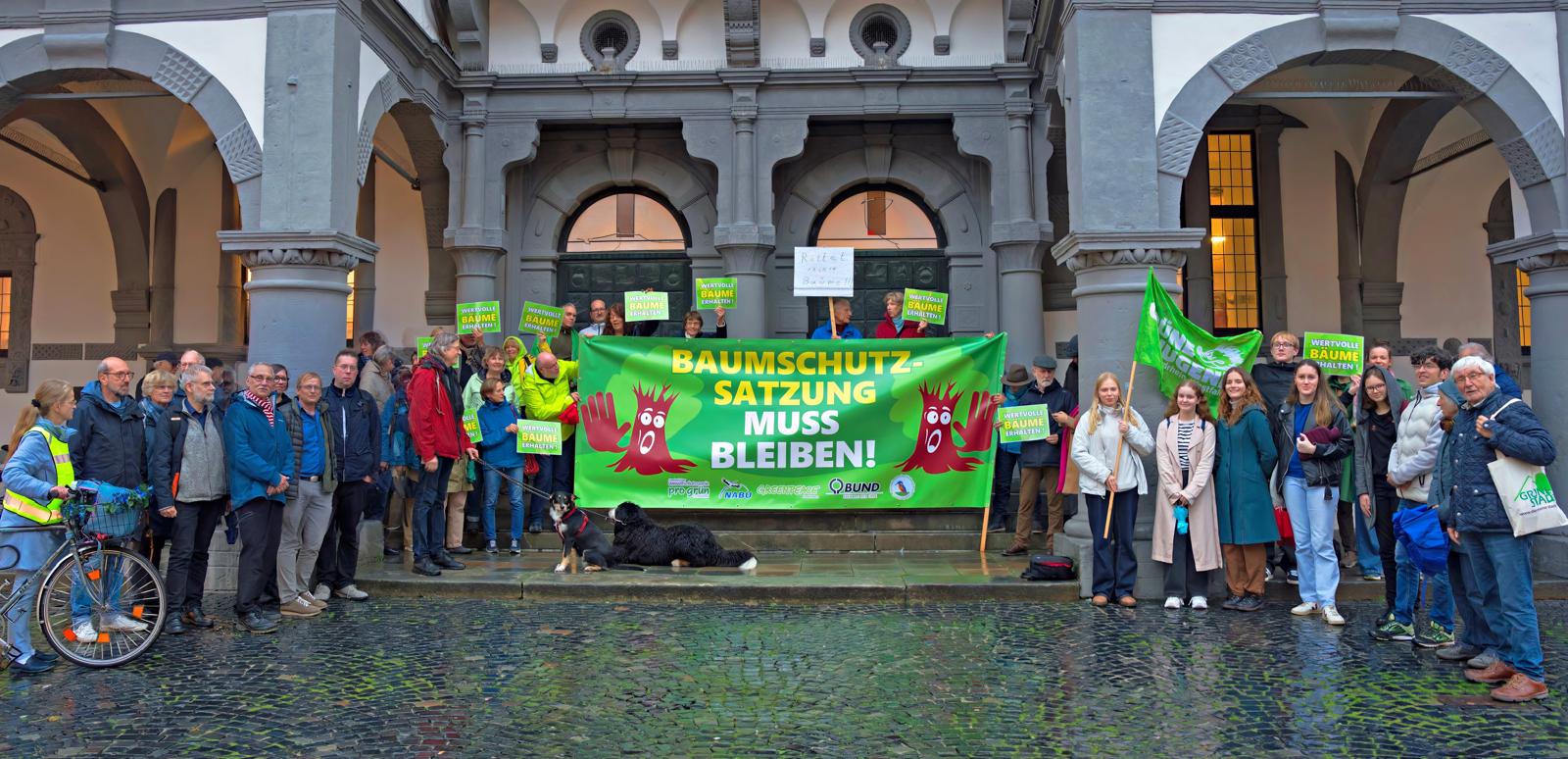 Link zur Online-Petition zur Baumschutzsatzung Paderborn: die Naturschutzverbände bitten um Unterstützung