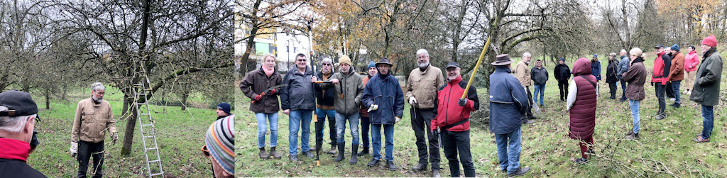 Obstbaumschnittseminar bei pro grün e.V. Paderborn mit Peter Rüther am 01.02.2025